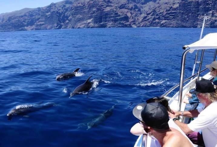 Apartamento Incleibles Vistas Al Oceano Y Piscina. Acantilado de los Gigantes Bagian luar foto