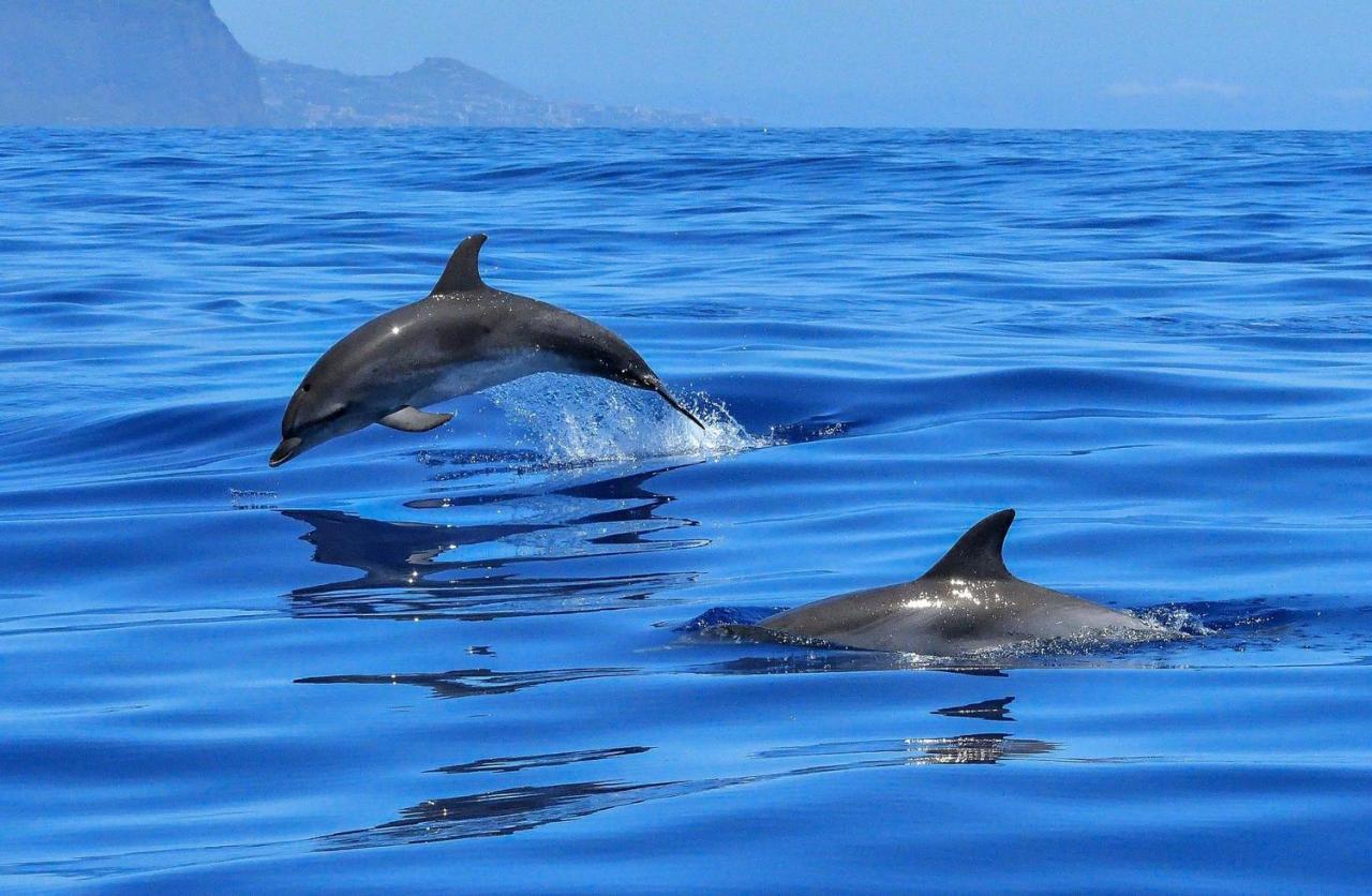 Apartamento Incleibles Vistas Al Oceano Y Piscina. Acantilado de los Gigantes Bagian luar foto